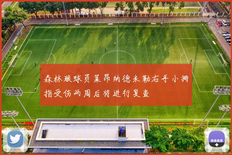 森林狼球员莱昂纳德米勒右手小拇指受伤两周后将进行复查