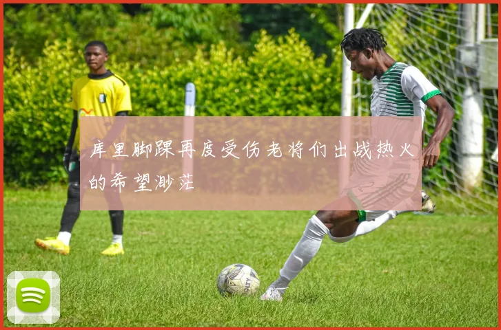 库里脚踝再度受伤老将们出战热火的希望渺茫