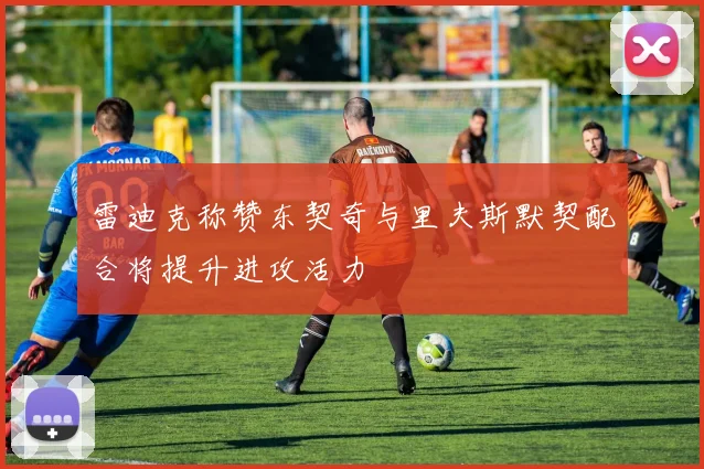 雷迪克称赞东契奇与里夫斯默契配合将提升进攻活力