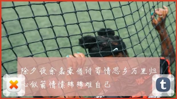 除夕夜余嘉豪借诗寄情思乡万里归心似箭情愫绵绵难自已